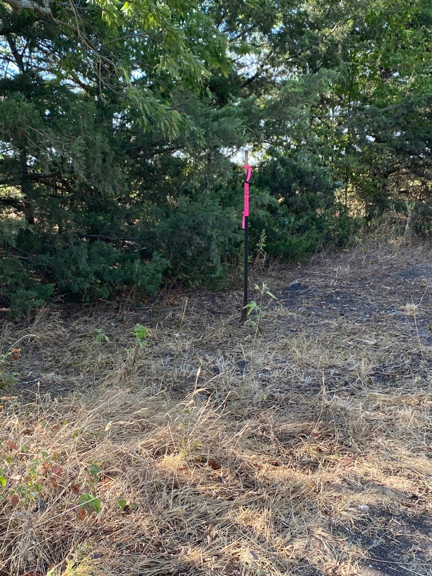 10.1 acres in Hunt County - photo 10