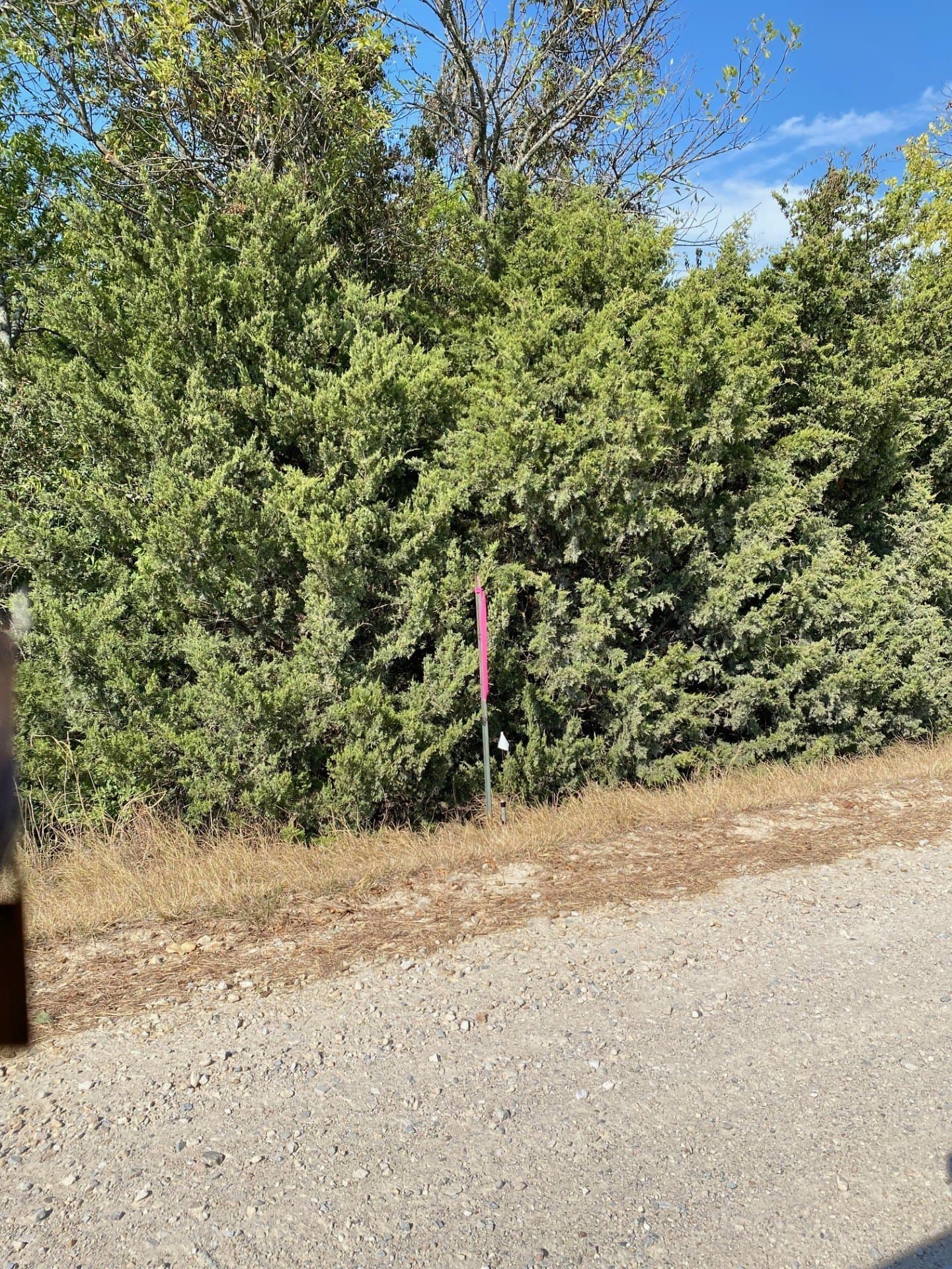 10.1 acres in Hunt County - photo 11
