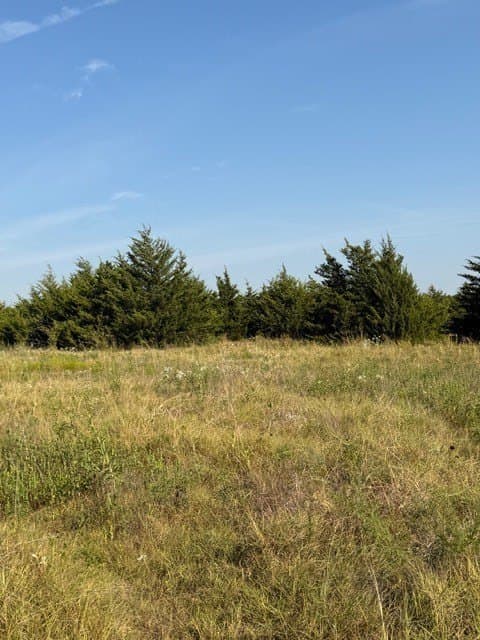 10.1 acres in Hunt County - photo 22