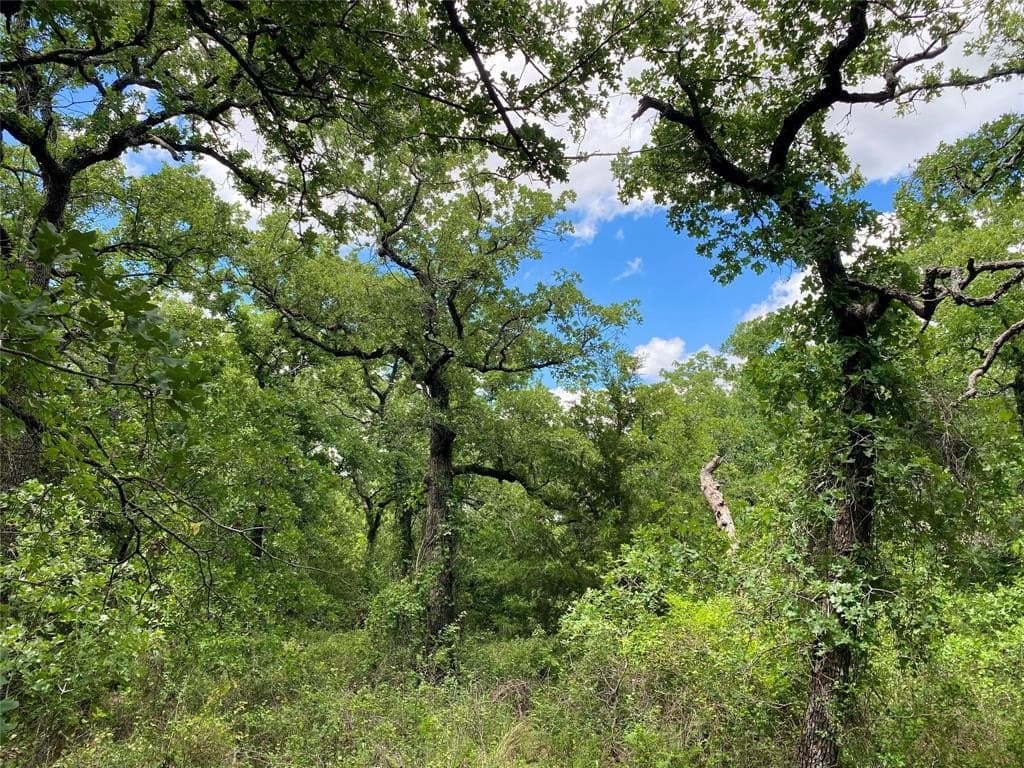 1.51 acres in Montague County featured view