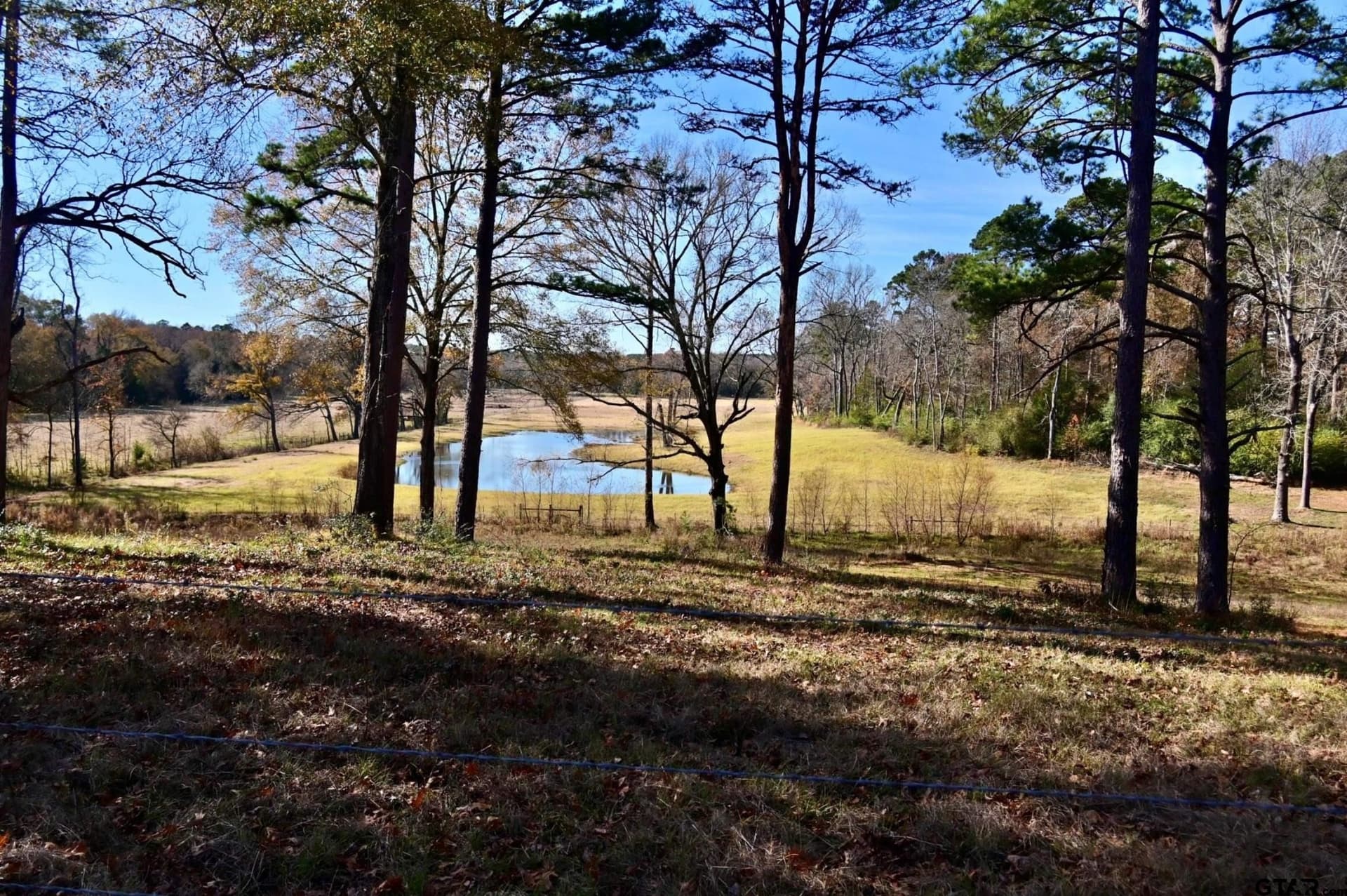 16.12 acres in Anderson County - photo 6