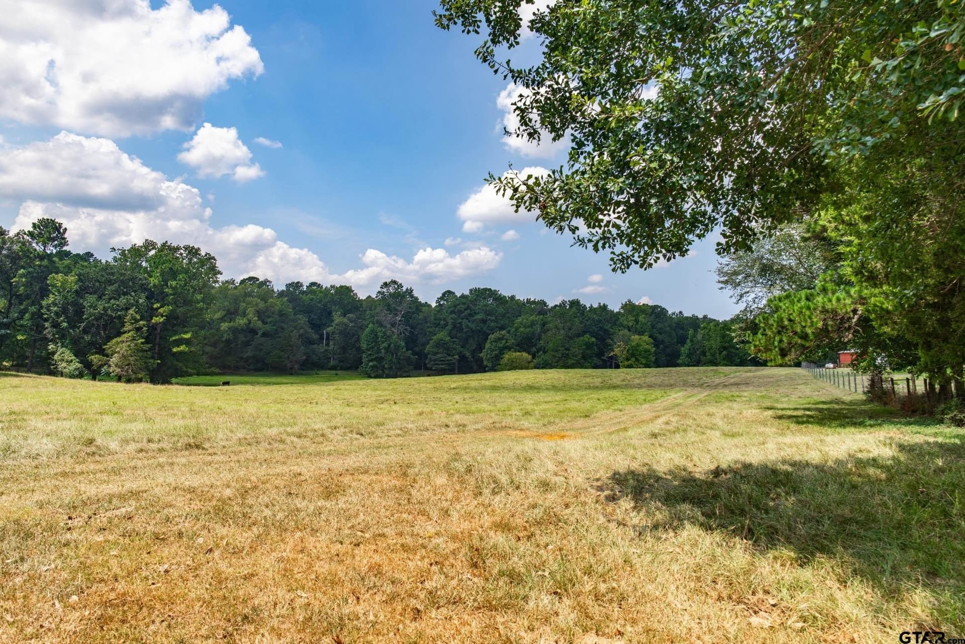 16.12 acres in Anderson County - photo 7