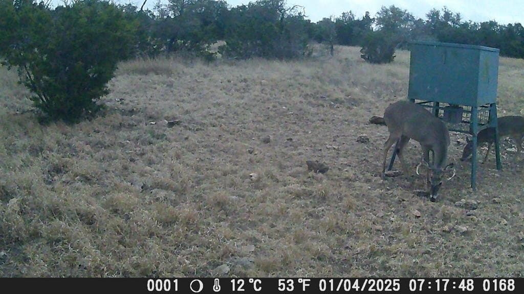 81 acres in Edwards County - photo 13