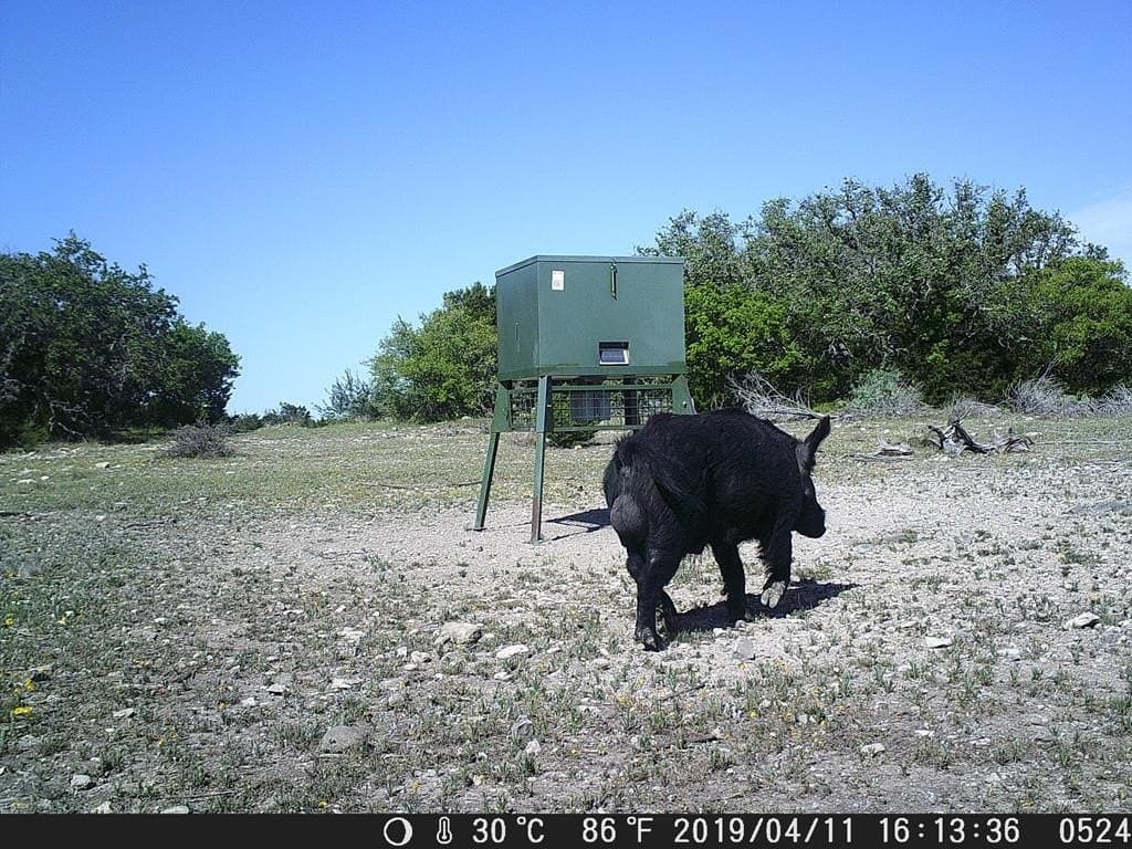 81 acres in Edwards County - photo 19