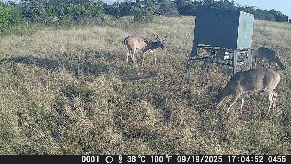 81 acres in Edwards County - photo 16