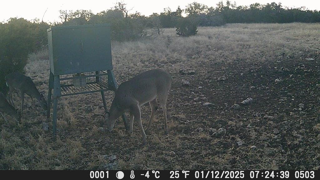 81 acres in Edwards County - photo 17