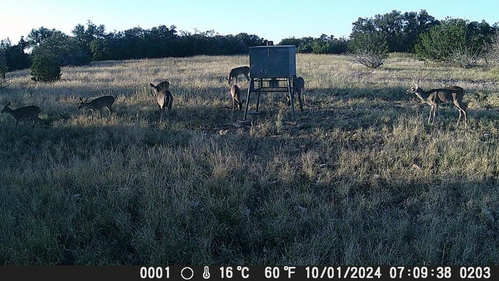 81 acres in Edwards County - photo 15