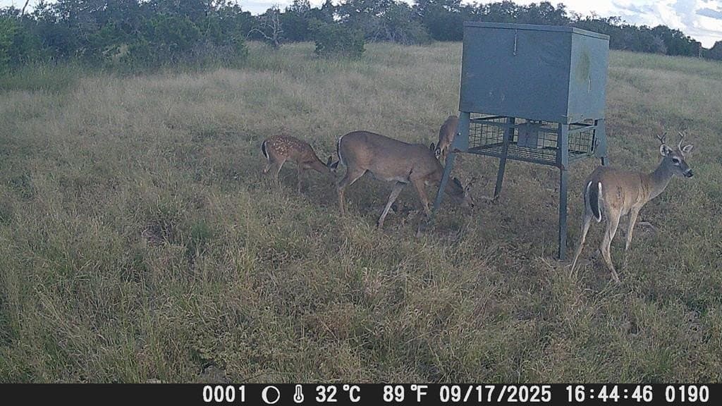 81 acres in Edwards County - photo 14
