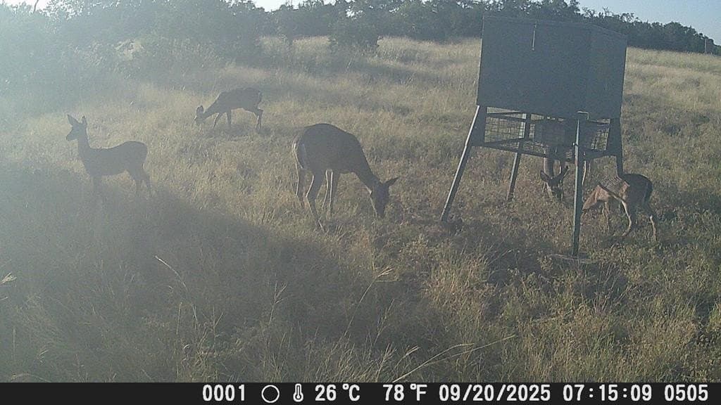 81 acres in Edwards County - photo 18
