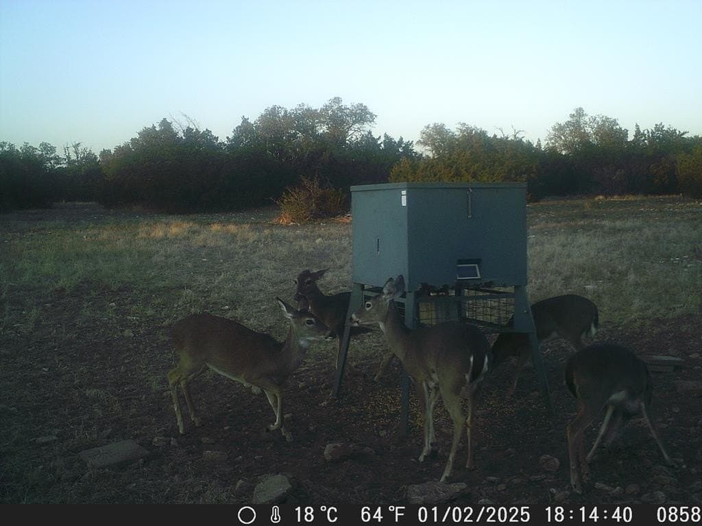 81 acres in Edwards County - photo 20