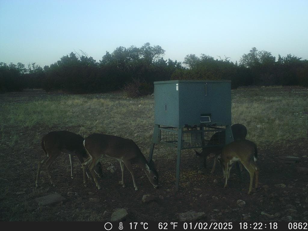 81 acres in Edwards County - photo 21