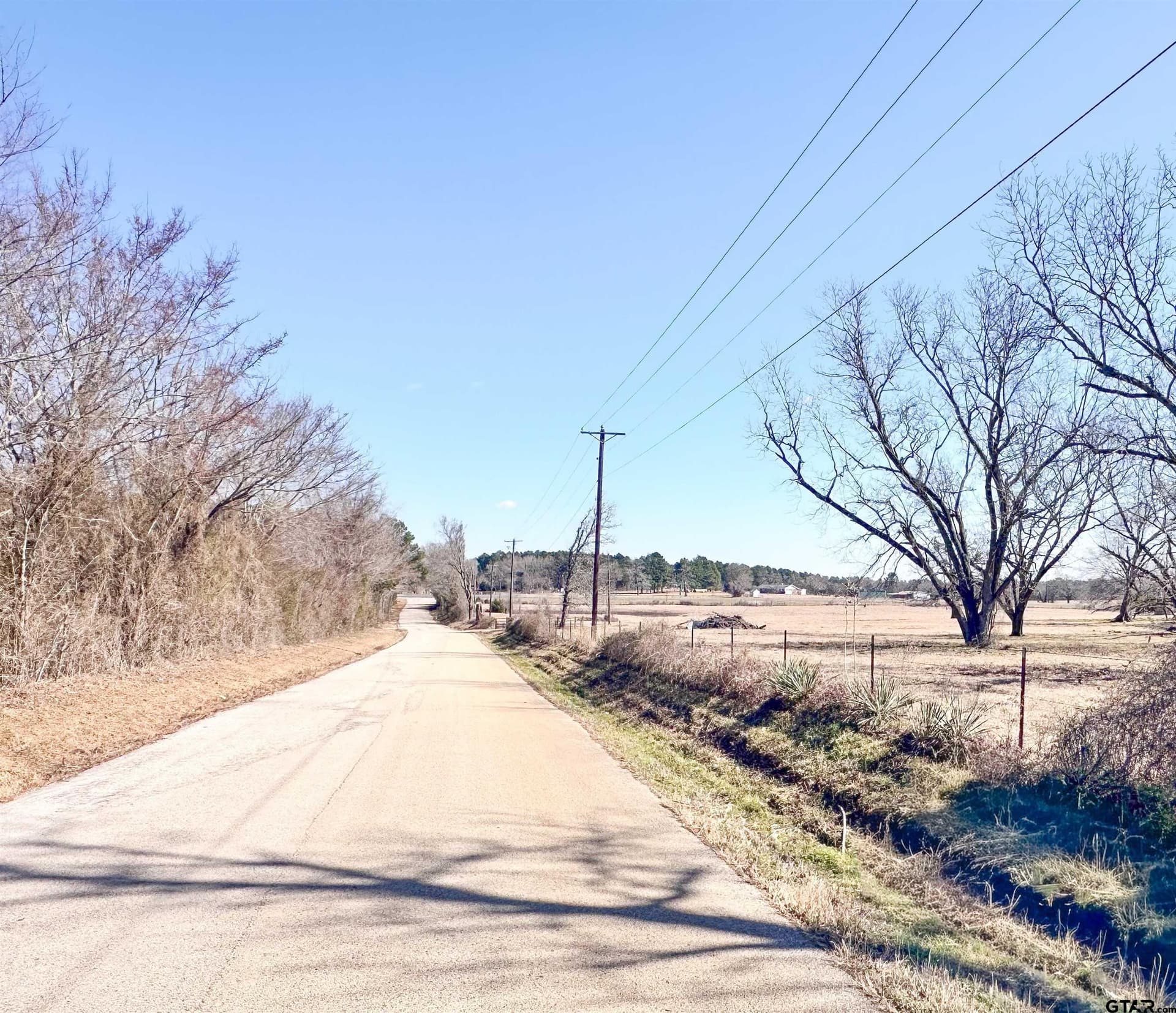 73.9 acres in Anderson County gallery image 3