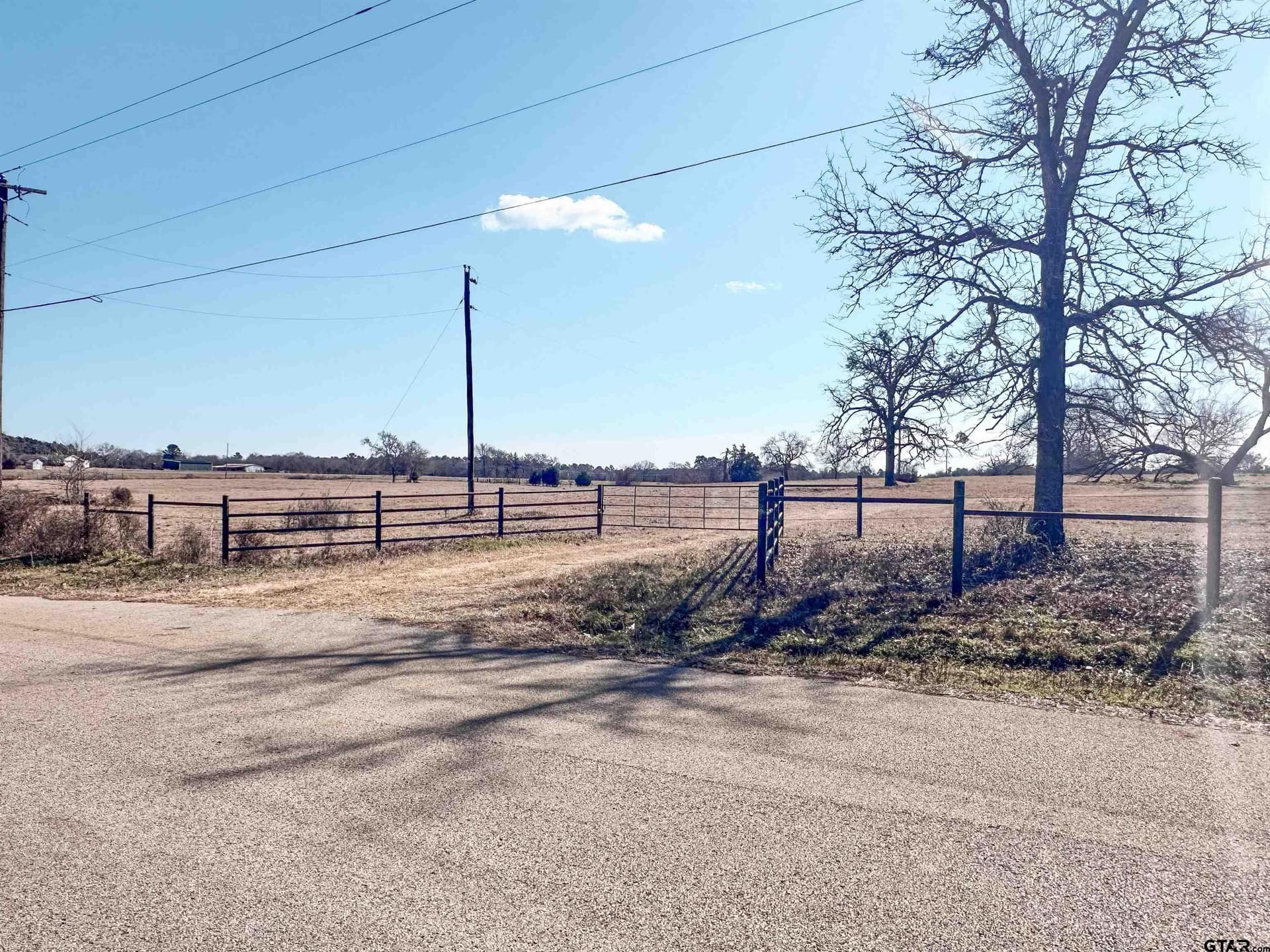 73.9 acres in Anderson County gallery image 2