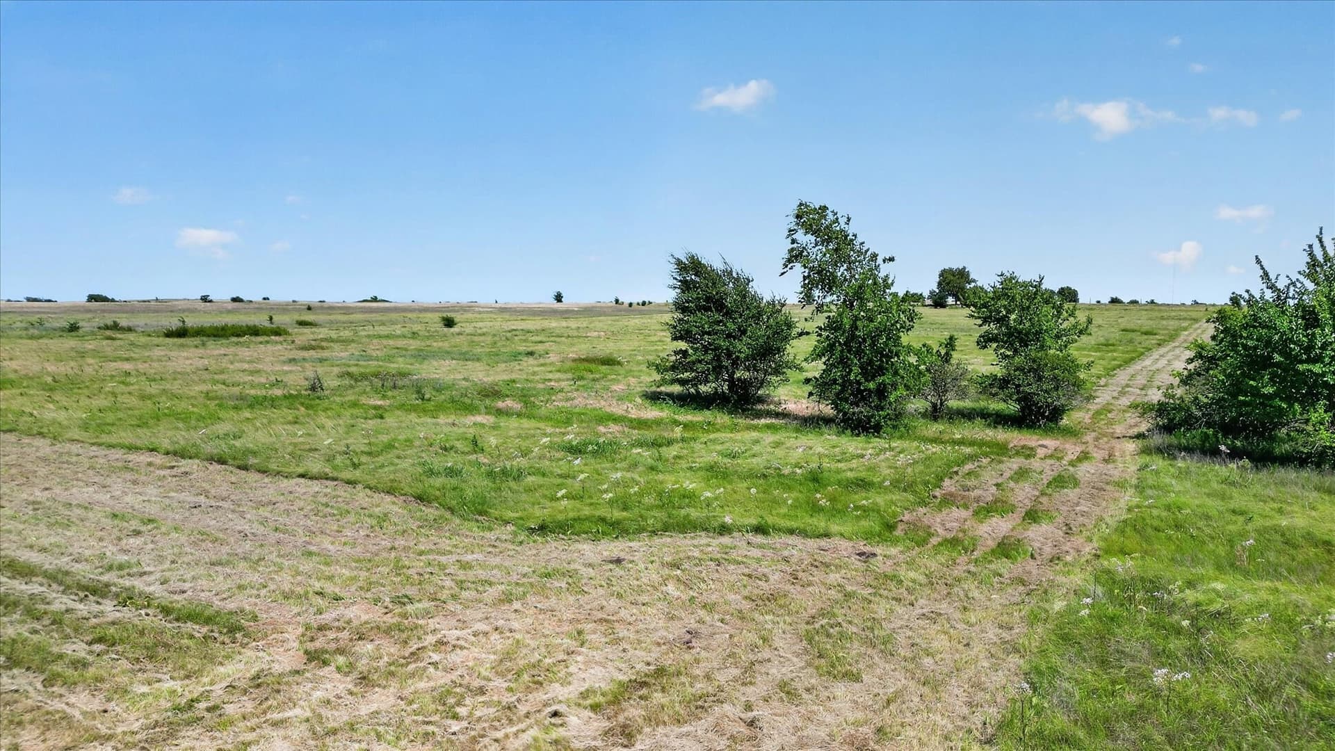 5.29 acres in Montague County - photo 9