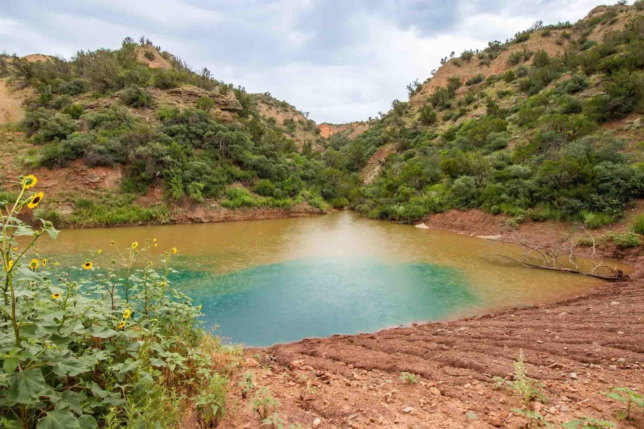 320 acres in Briscoe County gallery image 2