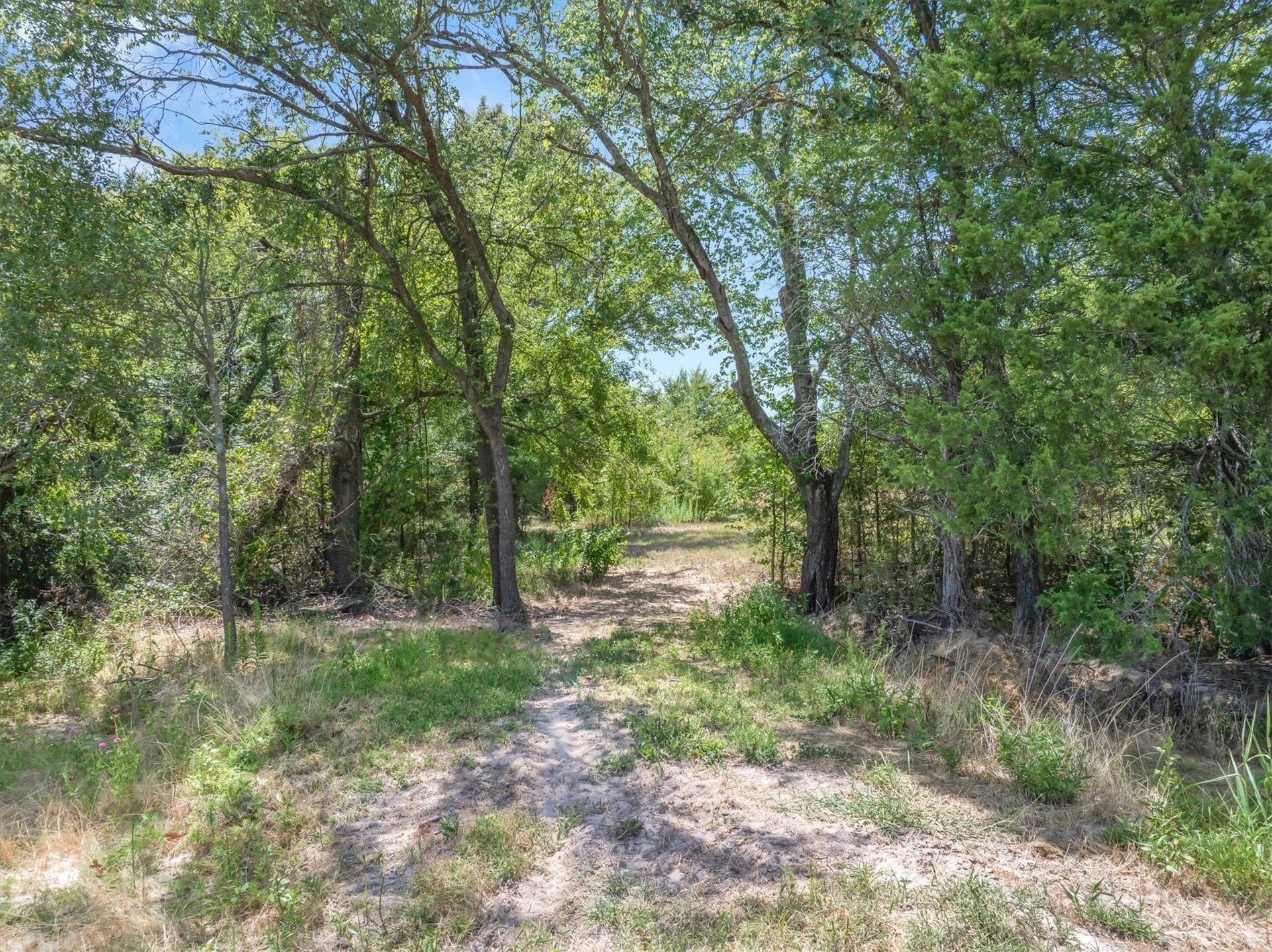48.81 acres in Van Zandt County - photo 34