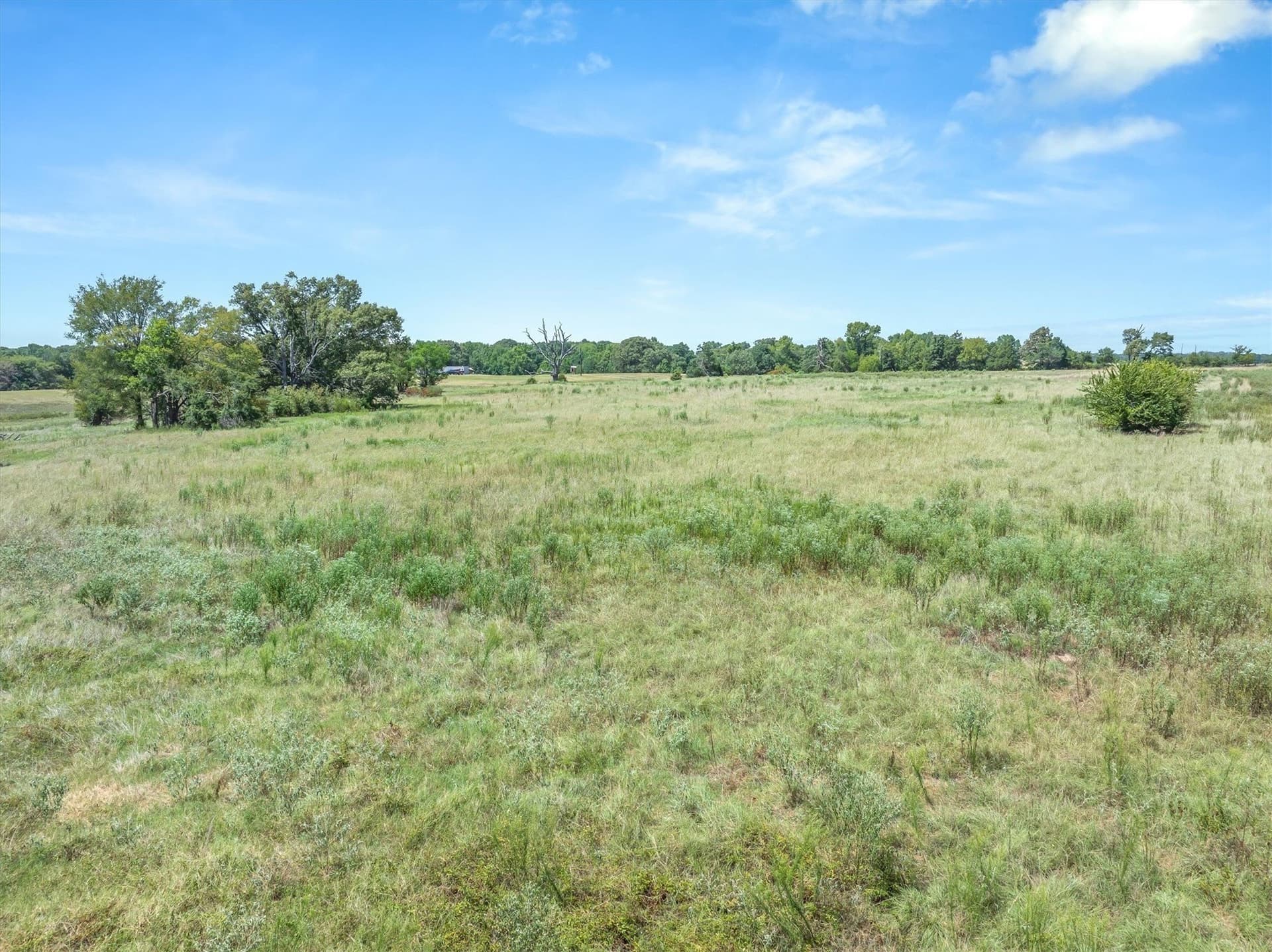 48.81 acres in Van Zandt County - photo 25