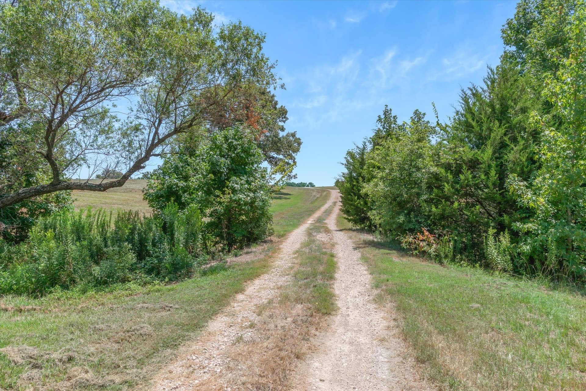 48.81 acres in Van Zandt County - photo 15