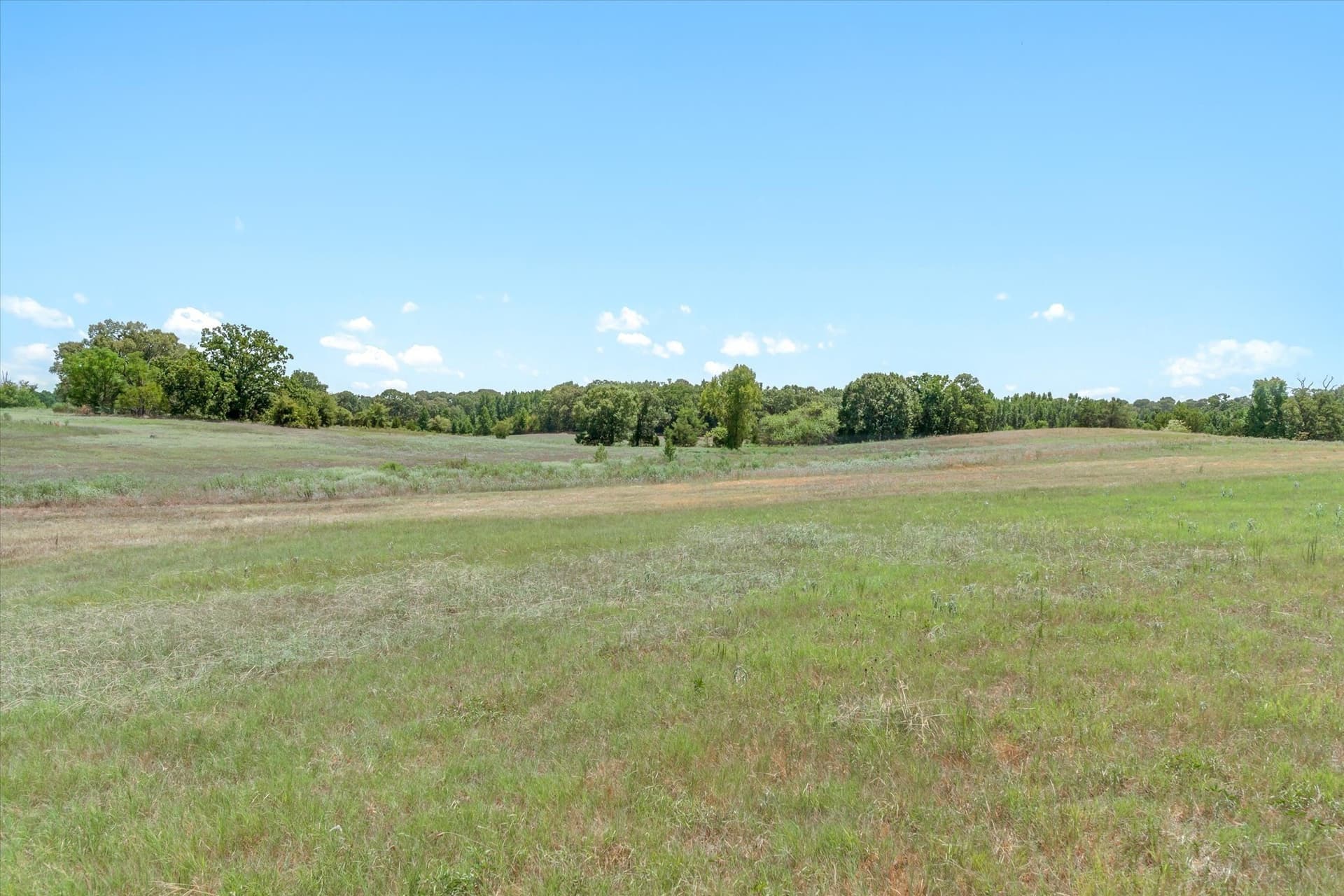 48.81 acres in Van Zandt County - photo 29
