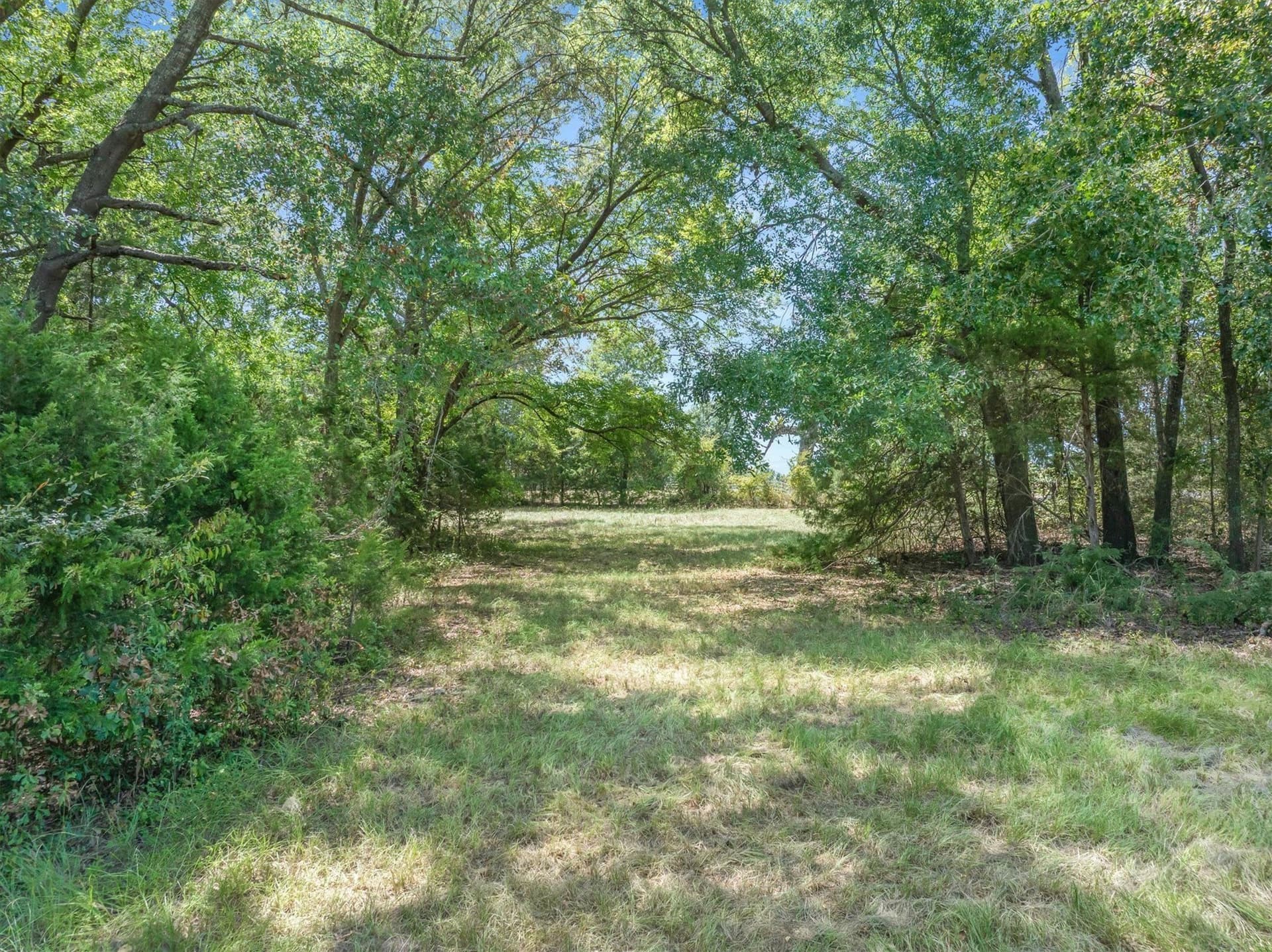 48.81 acres in Van Zandt County - photo 32