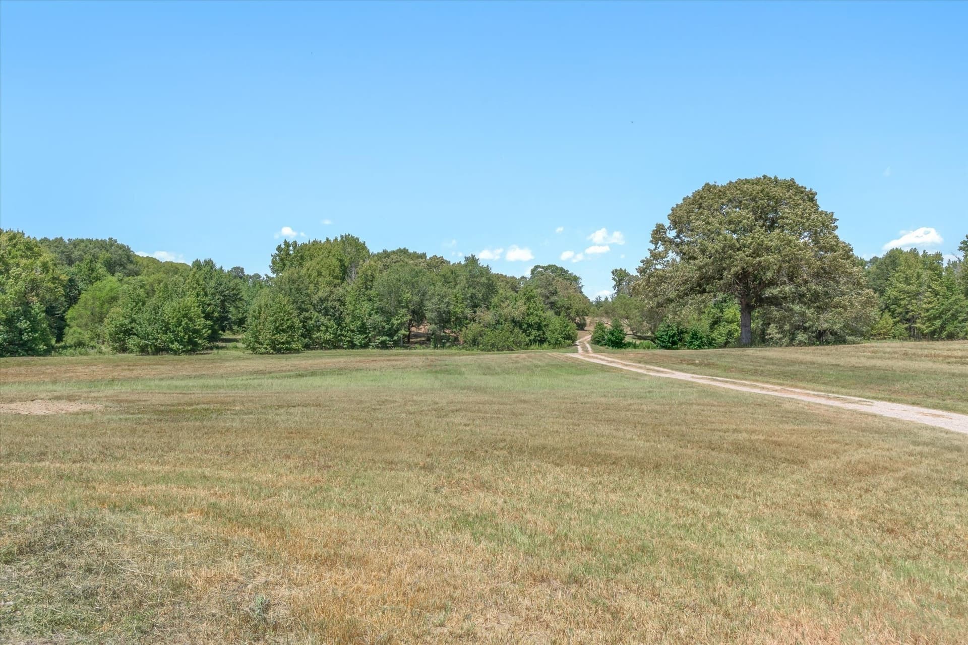 48.81 acres in Van Zandt County - photo 17