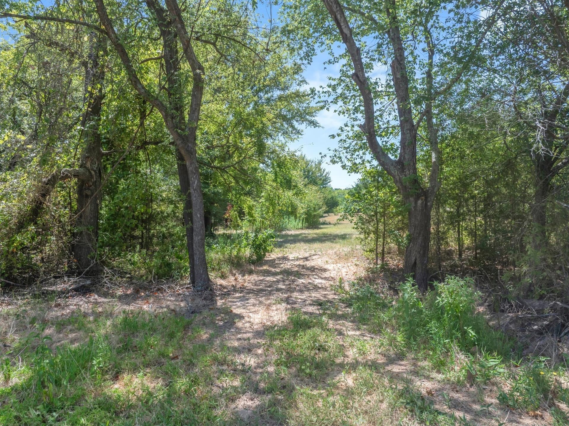 48.81 acres in Van Zandt County - photo 35