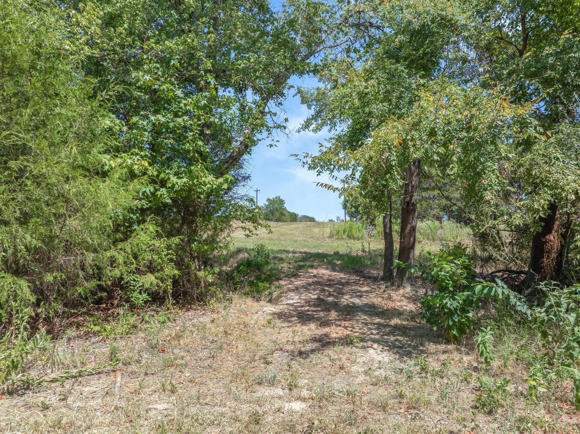 48.81 acres in Van Zandt County - photo 33