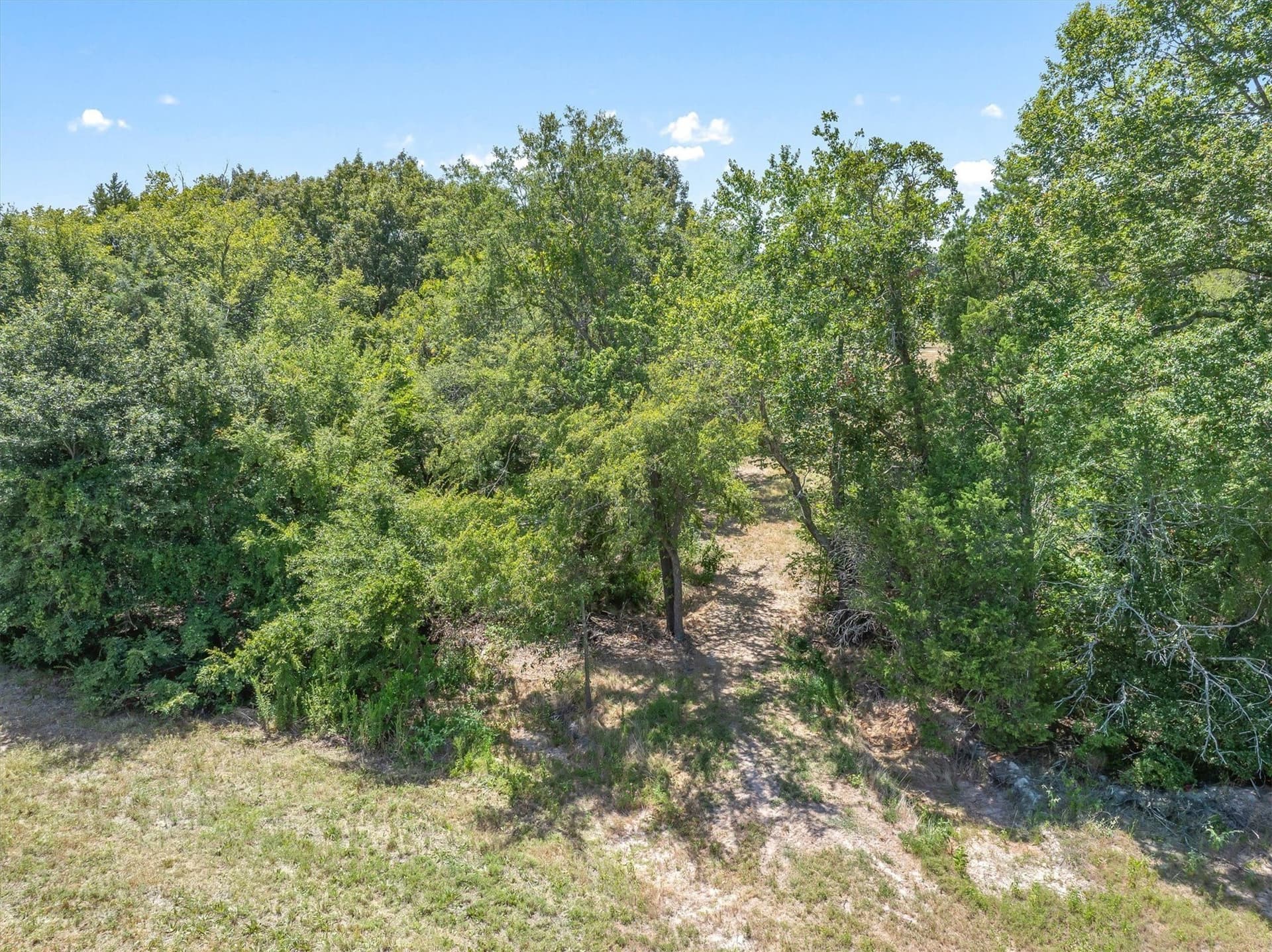 48.81 acres in Van Zandt County - photo 20