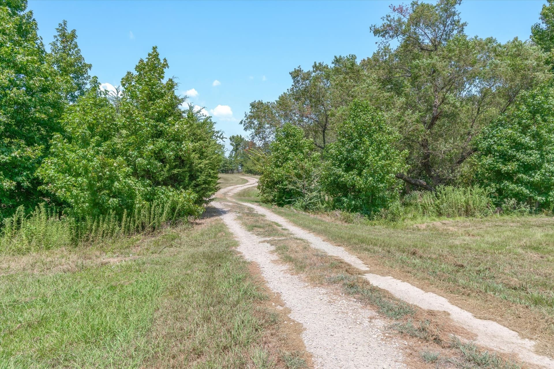 48.81 acres in Van Zandt County - photo 16