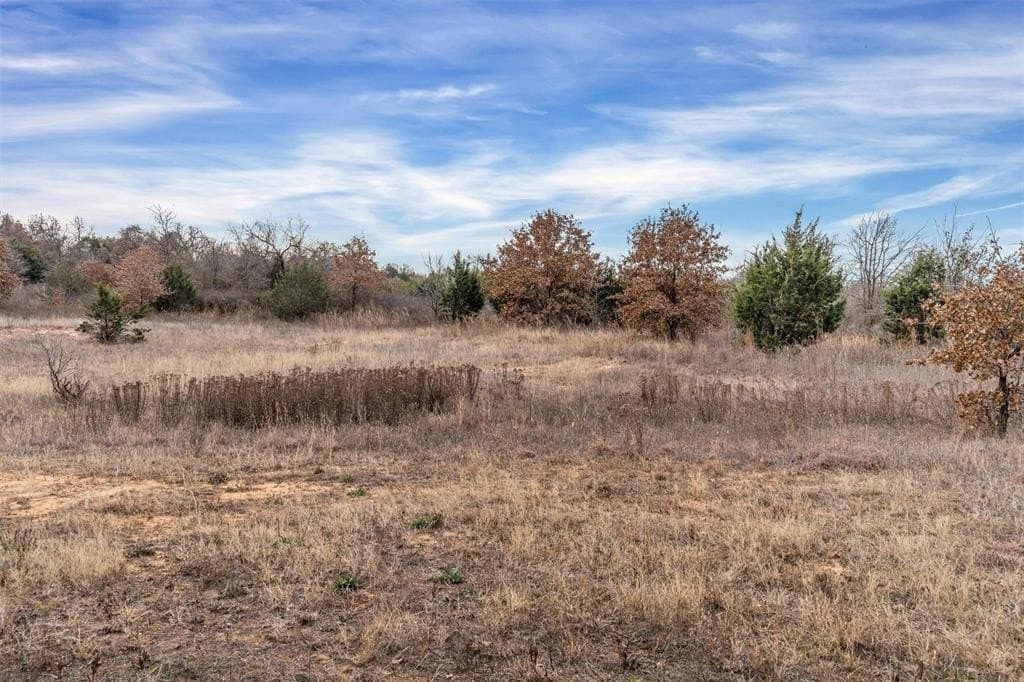 11.12 acres in Wise County gallery image 3