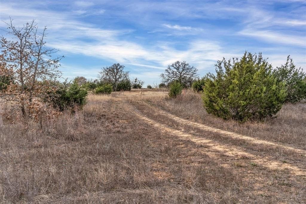 11.12 acres in Wise County gallery image 4