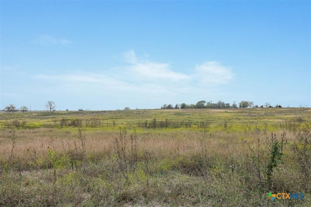 20 acres in Lavaca County gallery image 2