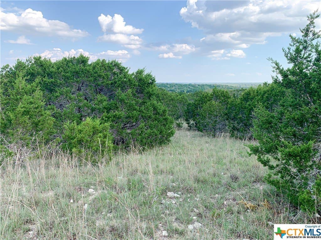 7.39 acres in Texas County - photo 17