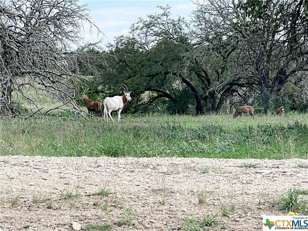 7.39 acres in Texas County - photo 19