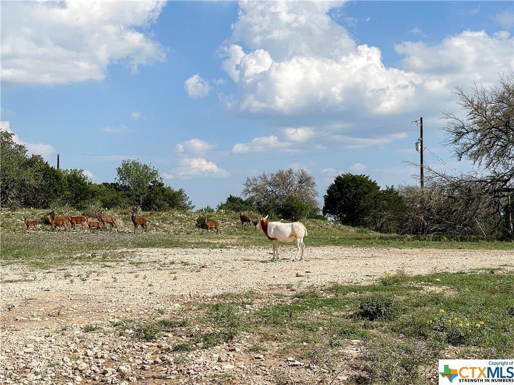 7.39 acres in Texas County - photo 18