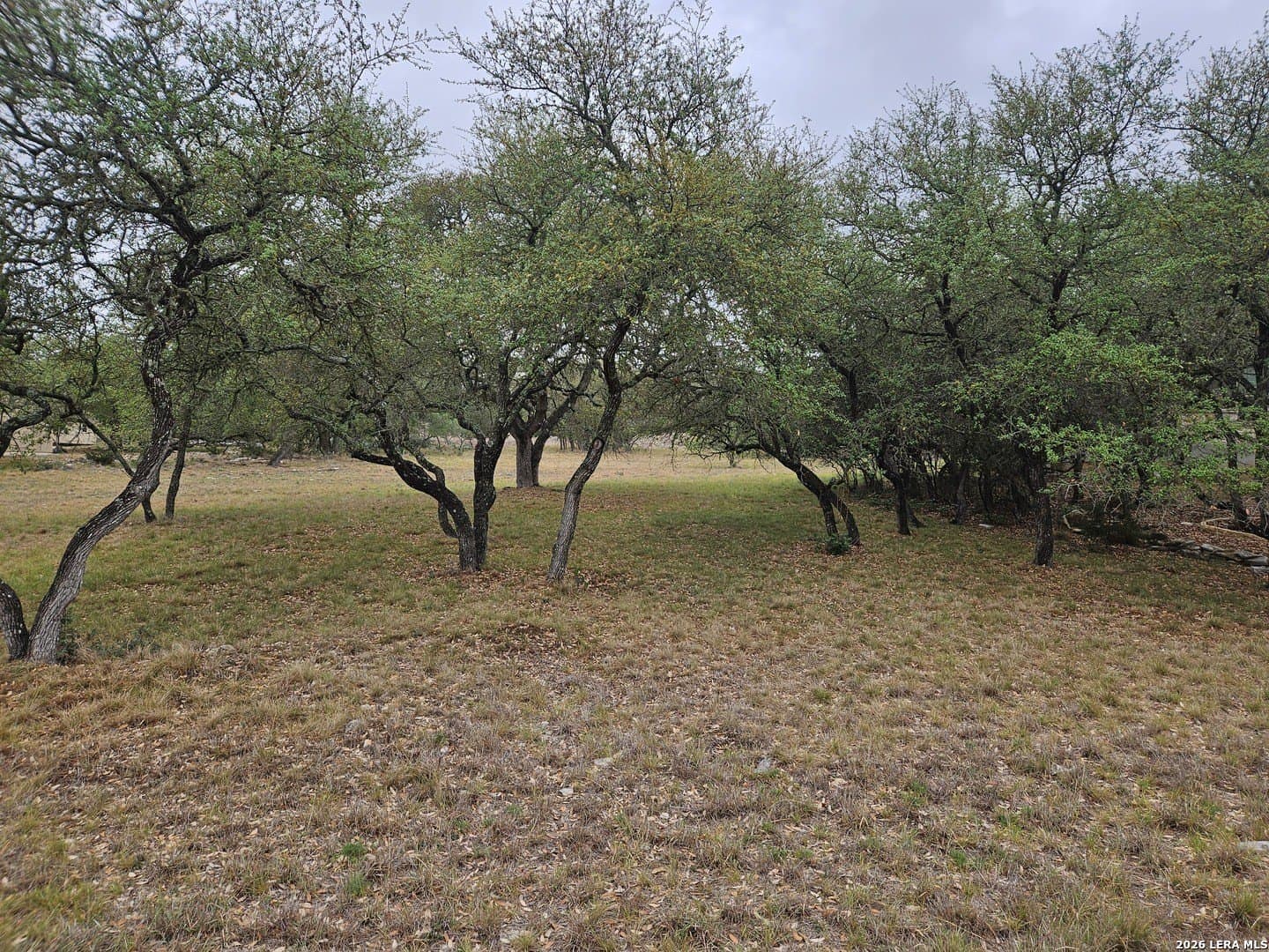 1.08 acres in Comal County gallery image 4