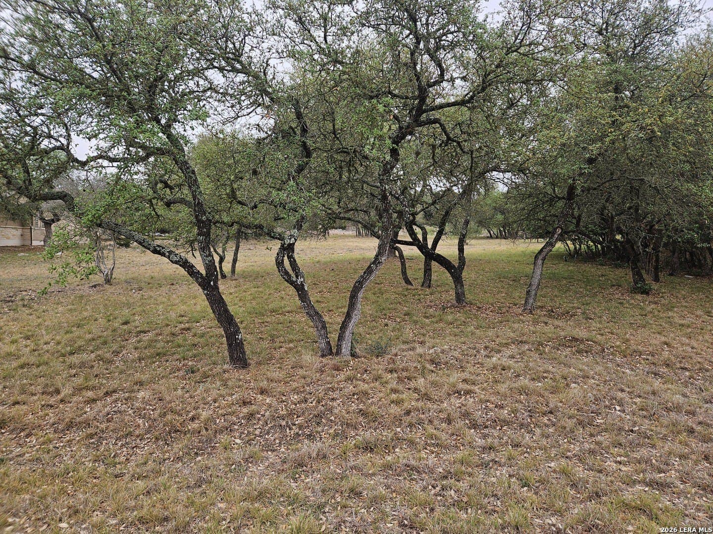 1.08 acres in Comal County featured view