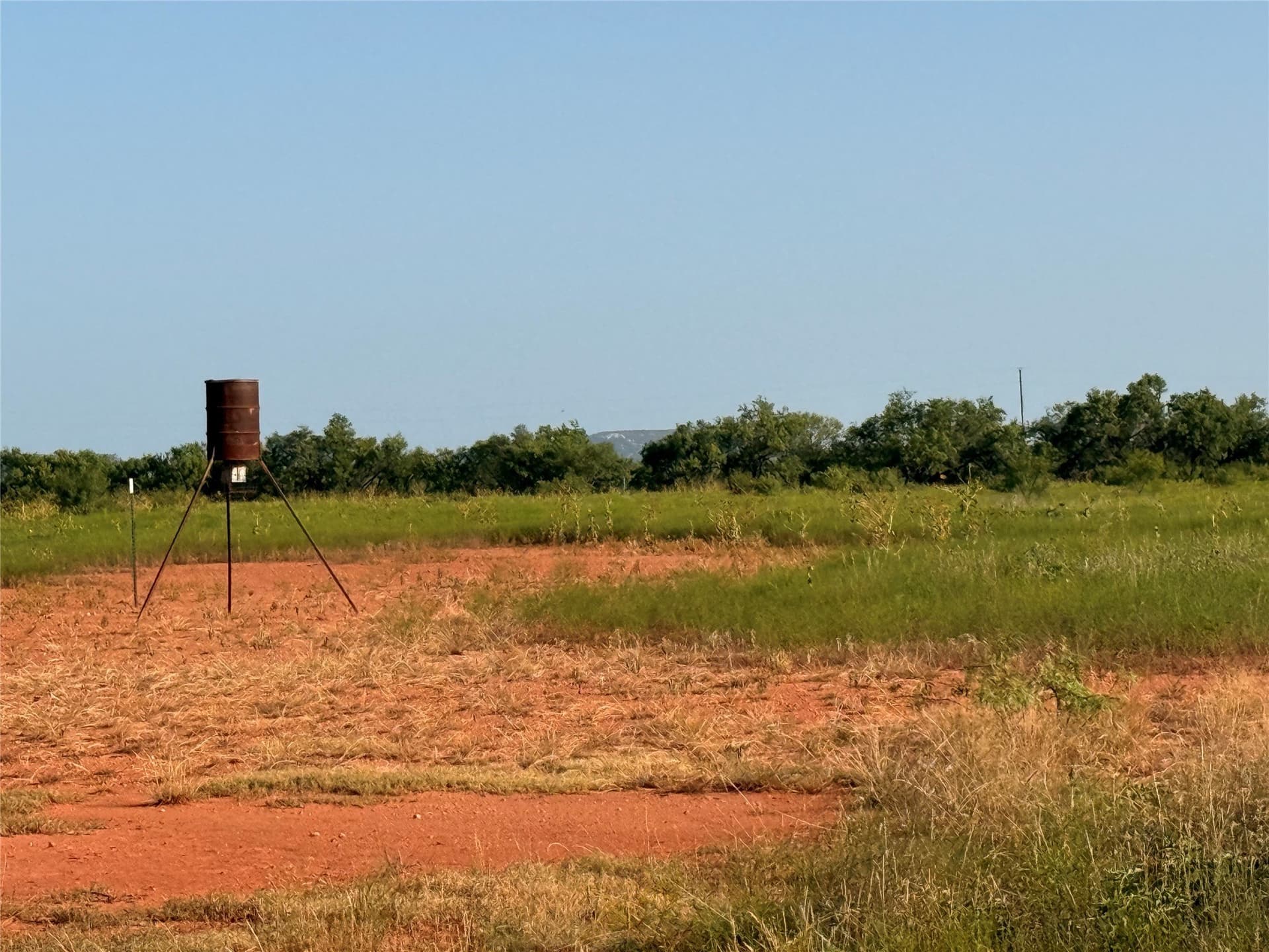 99 acres in Taylor County - photo 7