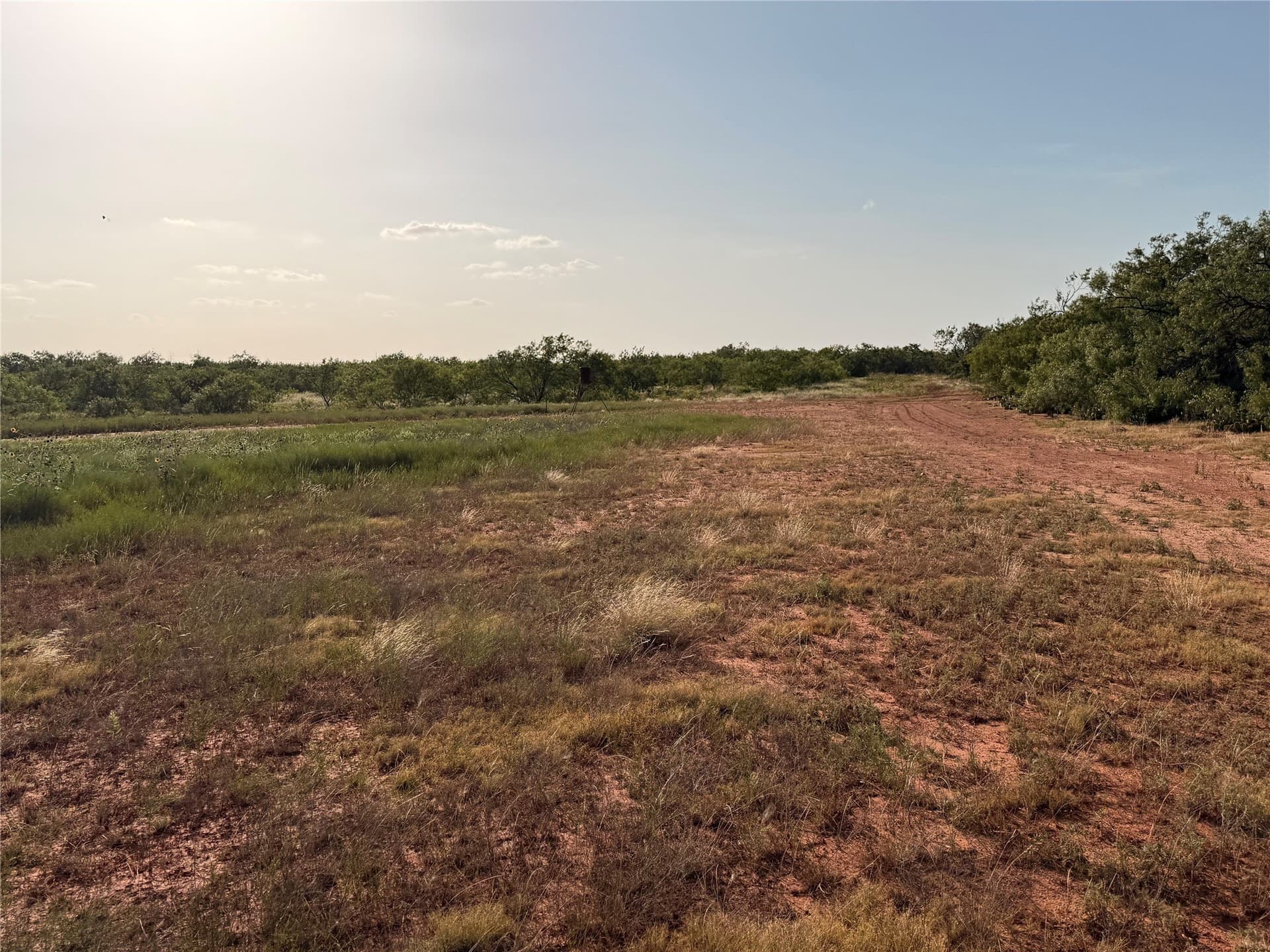 99 acres in Taylor County - photo 6