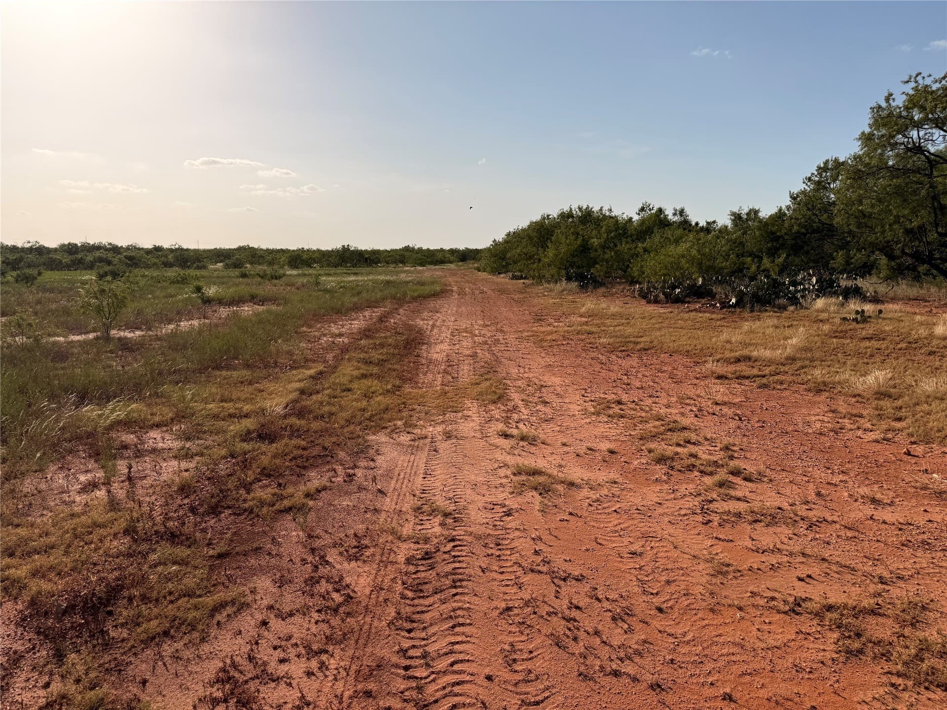 99 acres in Taylor County - photo 8
