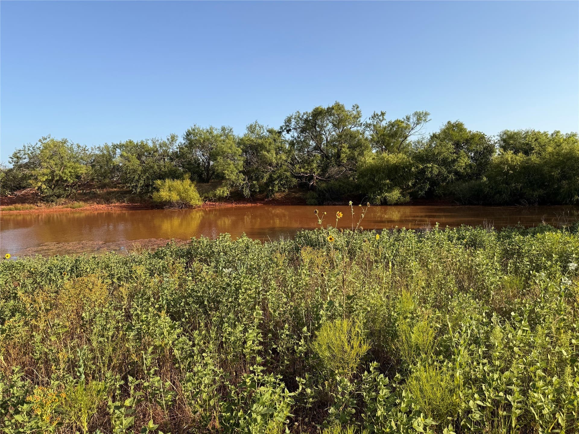 99 acres in Taylor County