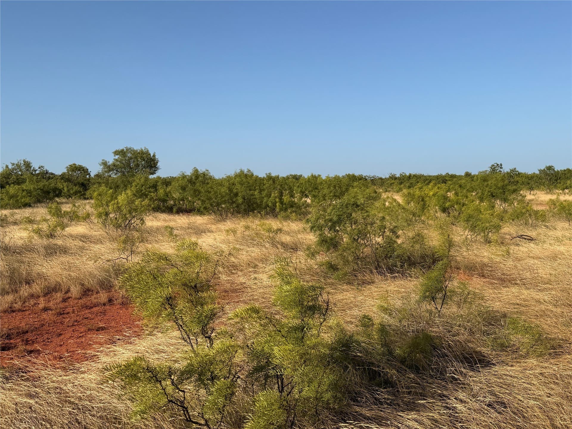99 acres in Taylor County - photo 5