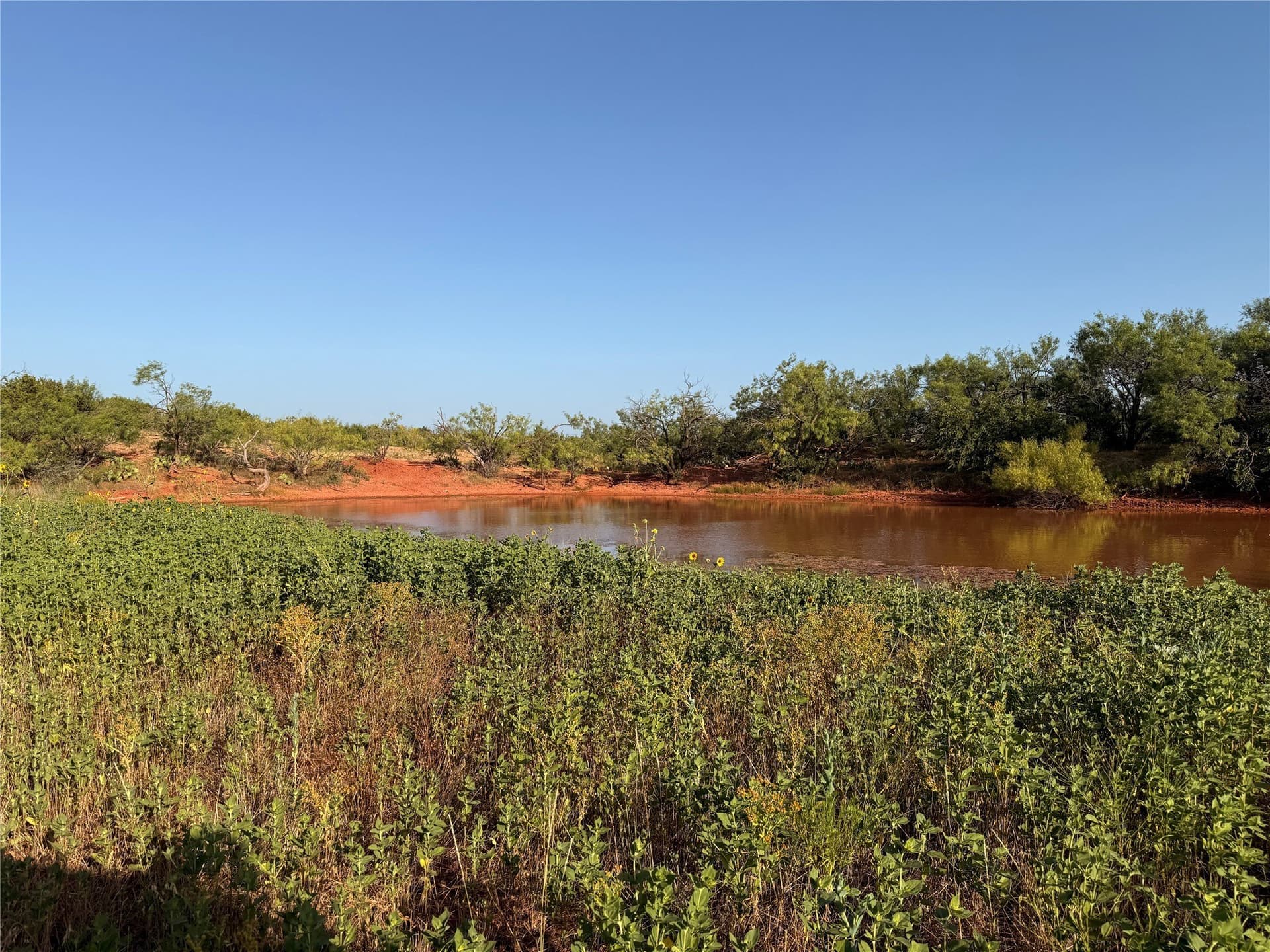 99 acres in Taylor County - photo 9