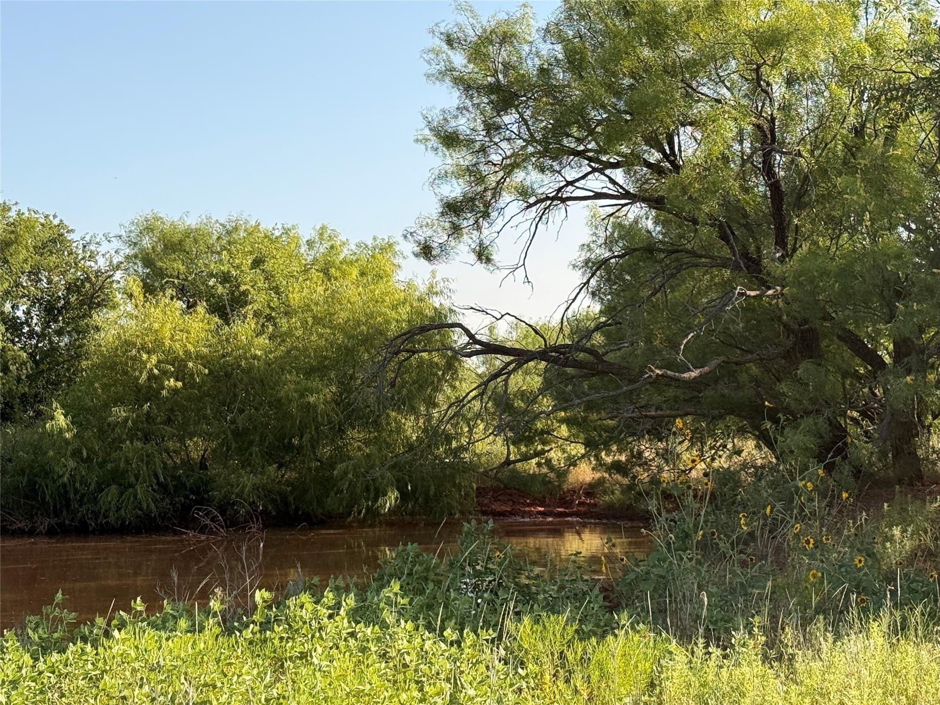 99 acres in Taylor County - photo 2