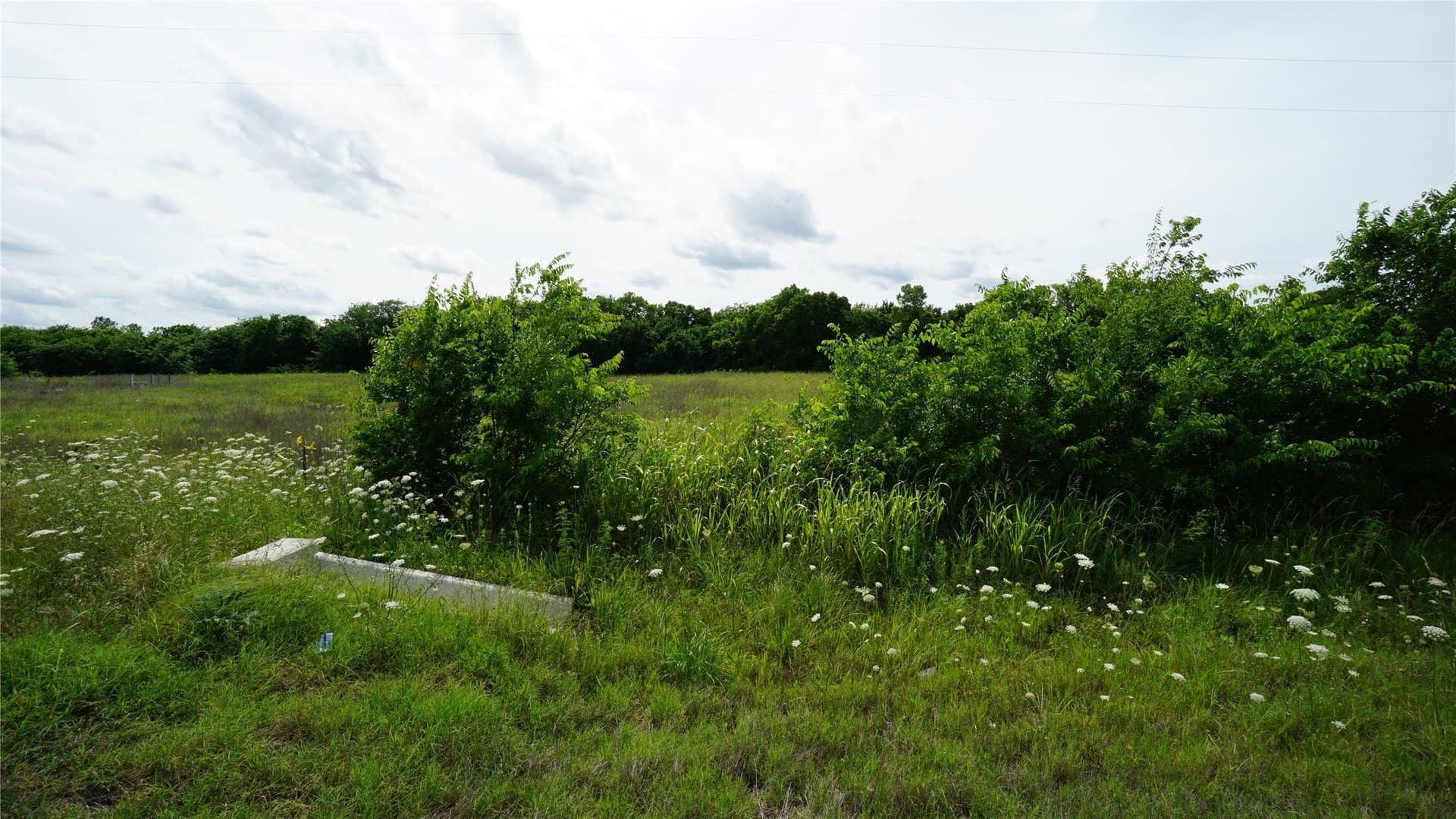 2 acres in Hunt County - photo 18