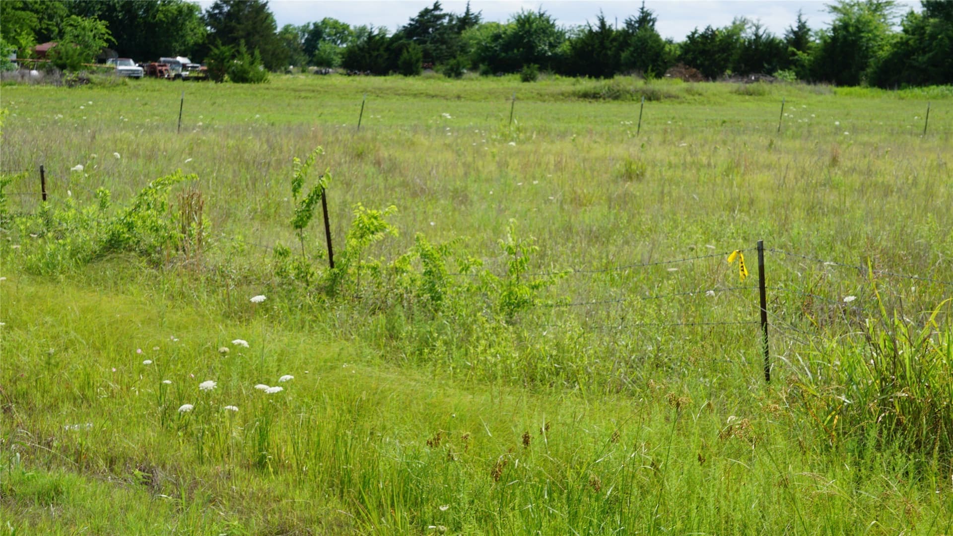 2 acres in Hunt County - photo 10