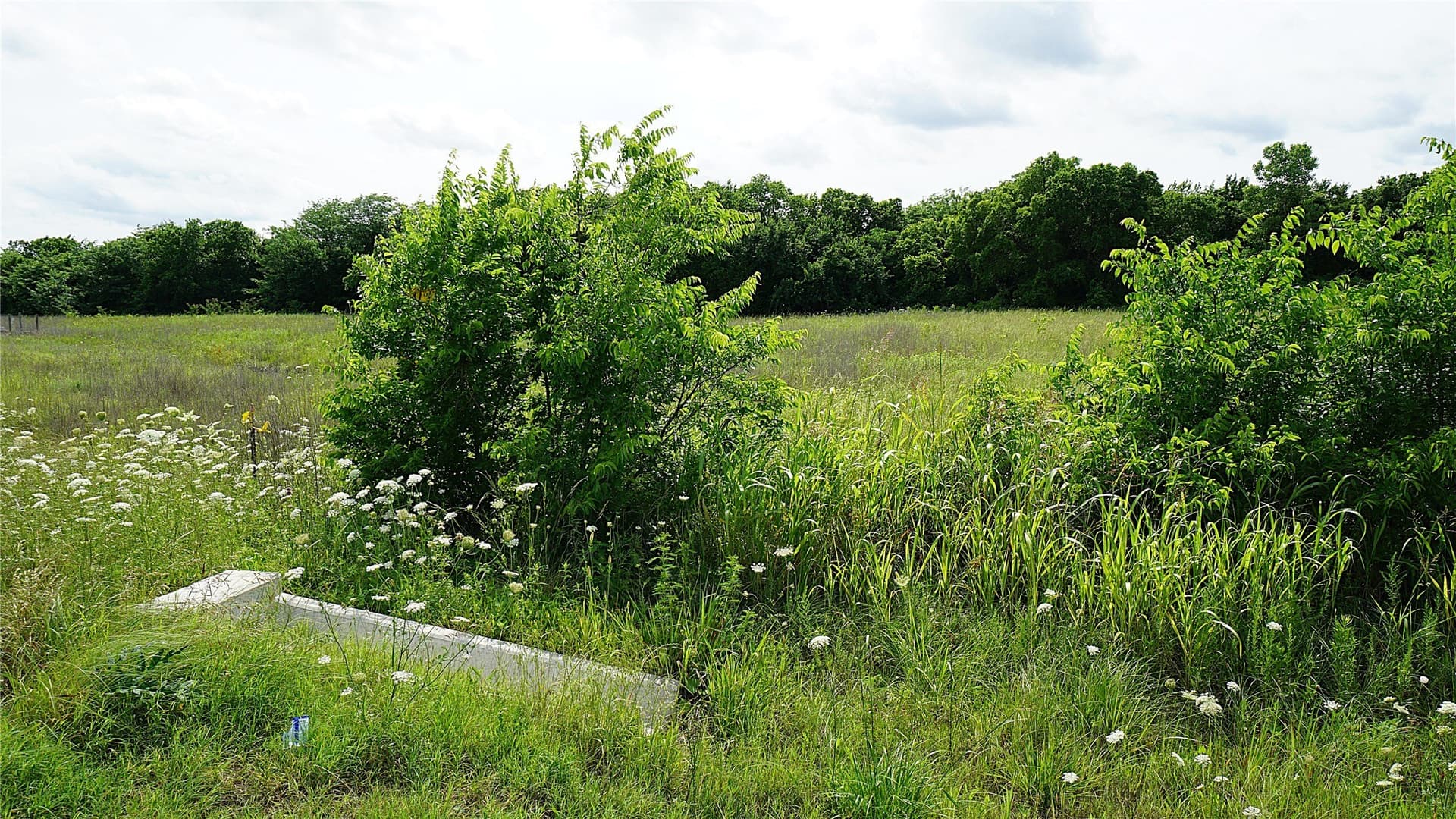 2 acres in Hunt County gallery image 2