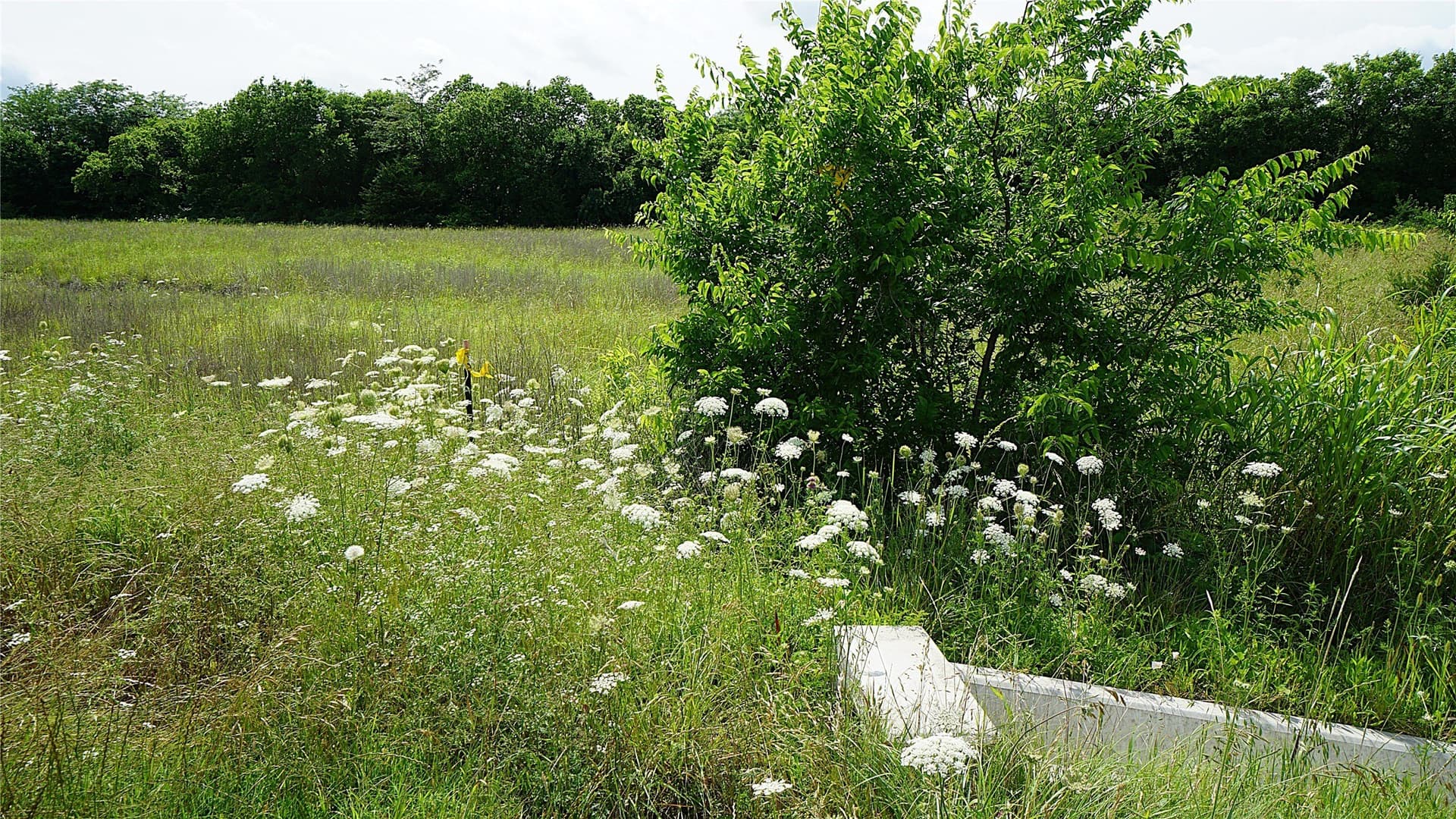 2 acres in Hunt County - photo 8