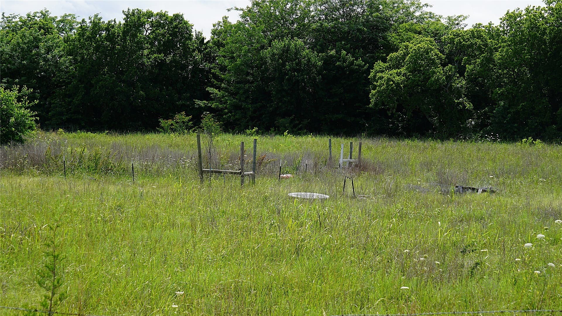 2 acres in Hunt County gallery image 4