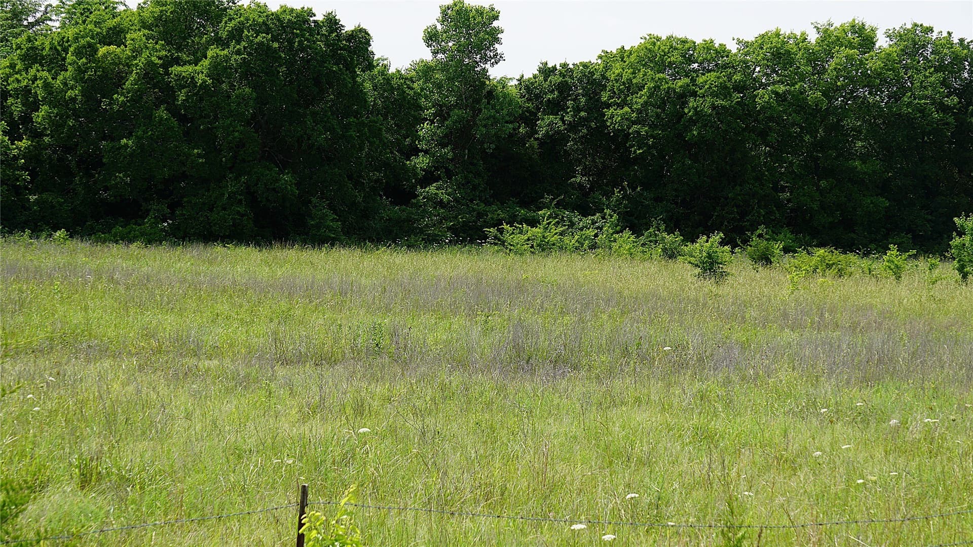 2 acres in Hunt County - photo 11